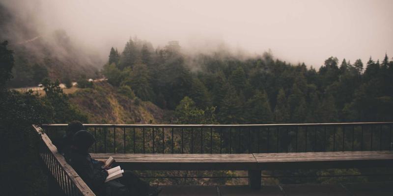 数字孪生赋能未来：智慧运河运维平台如何革新水资源管理与生态修复