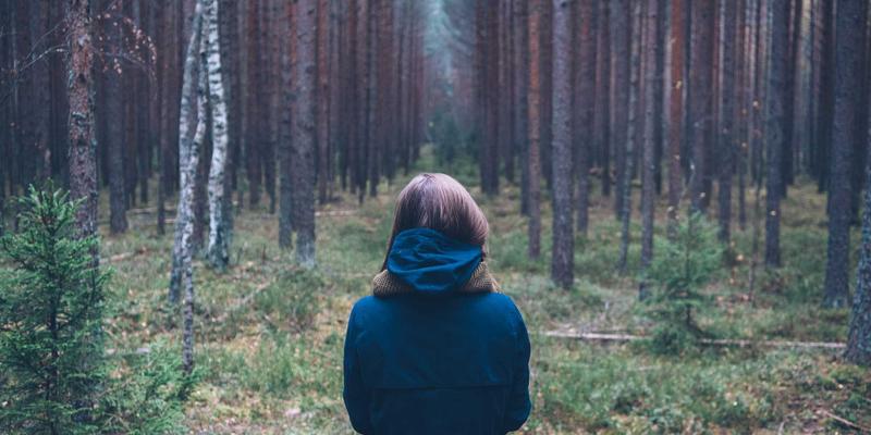 水利技术演进下的运河工程对比:从古代河道治理到现代水利工程