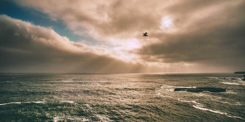 水资源管理与水利技术新视角：运河航道护岸工程的结构形式与生态化材料应用