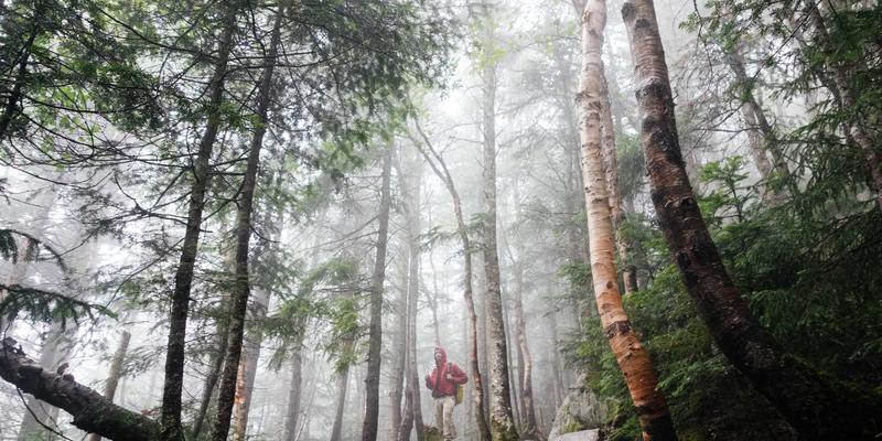 波西米亚风格与生态修复：运河航运噪声振动控制的未来航道新标准