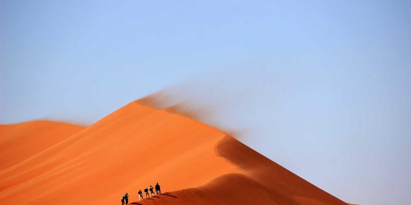 波西米亚风格水利工程：运河技术如何重塑区域农业灌溉效率