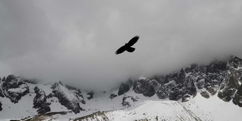 生态修复与防洪灌溉并举：跨流域调水工程中的运河水质保障策略与关键技术