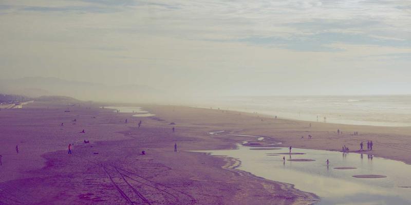 运河工程15：生态修复与波西米亚美学的河道治理新范式