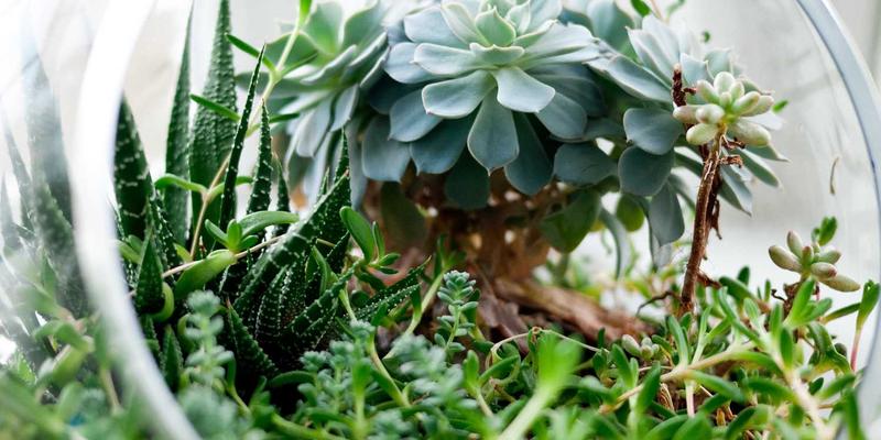 运河工程86：波西米亚美学与生态水利的现代交响