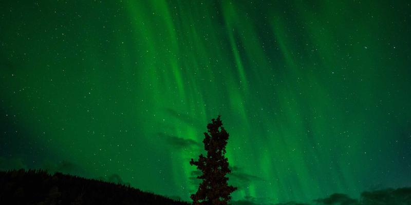 运河工程入门：从水利工程到生态修复的现代转型