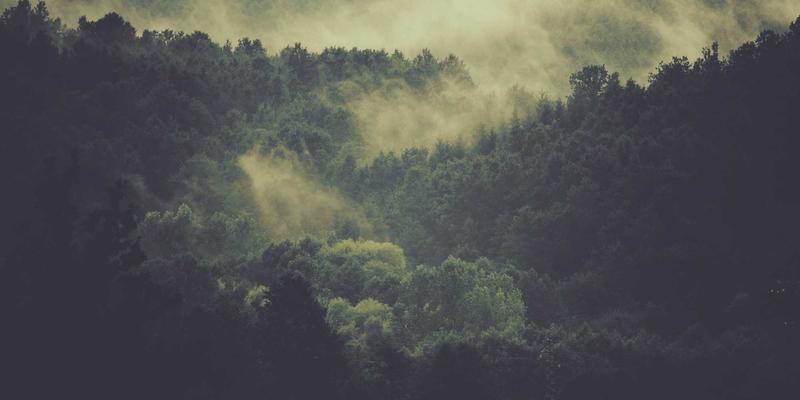 运河工程全攻略：从河道治理到水资源综合管理