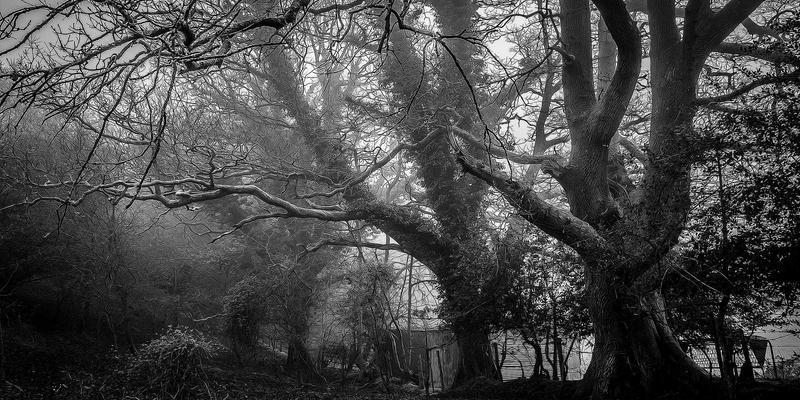 运河工程如何重塑城市：从波西米亚风格到防洪灌溉的产业与空间变革