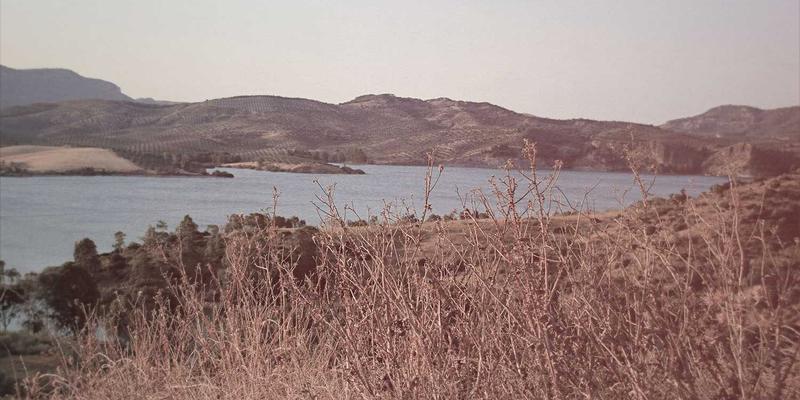 运河工程生态护岸技术比选：柔性结构与传统砌筑的效益深度解析