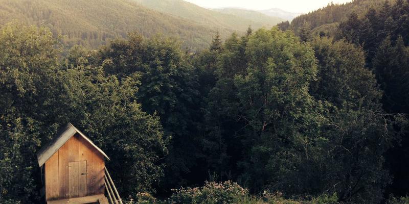 运河工程进阶：从防洪灌溉到生态综合治理的现代转型