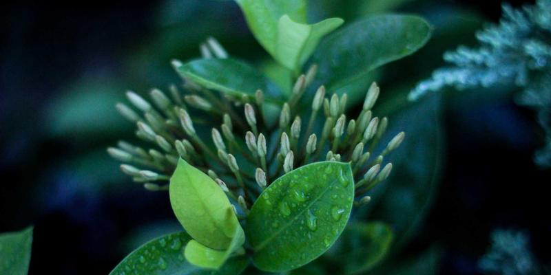 遥感与GIS技术赋能：运河沿线土地利用变迁与生态安全格局构建